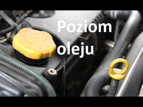 Małe kropki na głowę członka płciowego Niektóre penisy są małe,