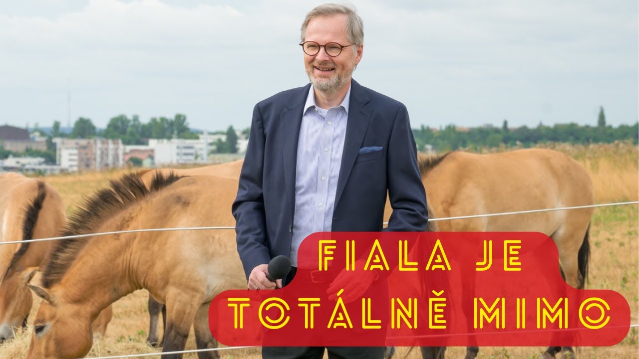 P. Drulák: Školství je v rozkladu. Ohlupování dětí. Politici neví kudy kam.