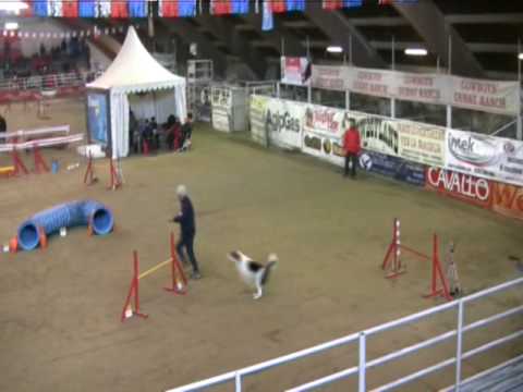 Yashin Jumping Voghera 040109