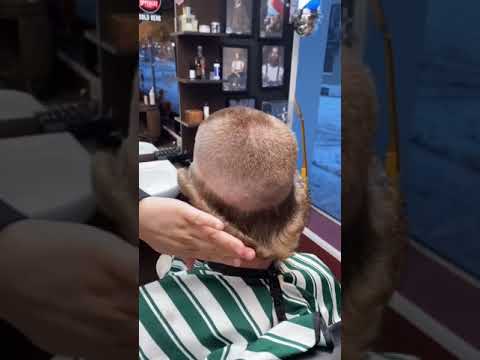 Name this haircut 😂😳 | #fails #viral