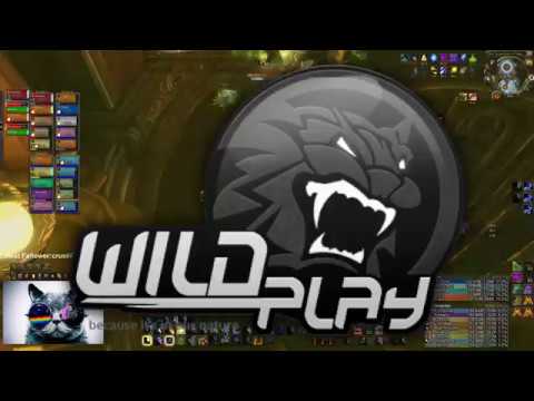 Wildplay vs Maiden of Vigilance Mythic