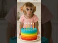 Cute Monkey Won T Share Chocolate Cake