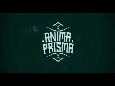 North Criminal - 3M5H7D (Live Hollycrook2)