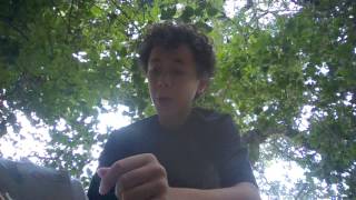 What not to feed chickens