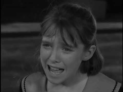 3x35 pt.5 Il corpo elettrico - Ai Confini Della Realtà (The Twilight Zone)