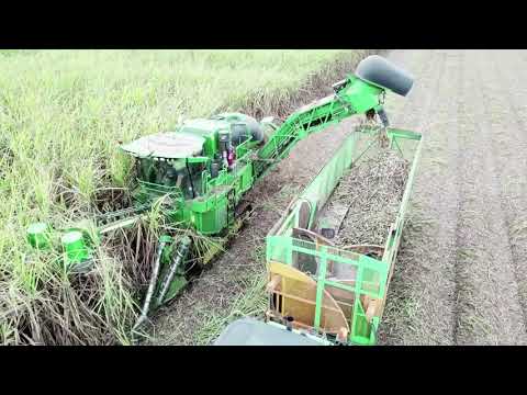 Greensill Farming Team Green