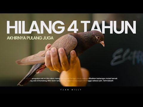 SPILL MATERIAL ON ELITE TEAM TANGERANG PIGEON BREEDING