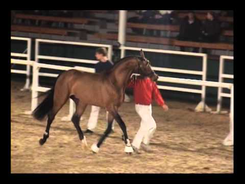 Los Angeles von Light On