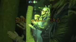真夜中の神社で #short