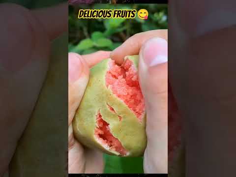 Delicious red apple cutting - Farm fresh ninja fruit cutting