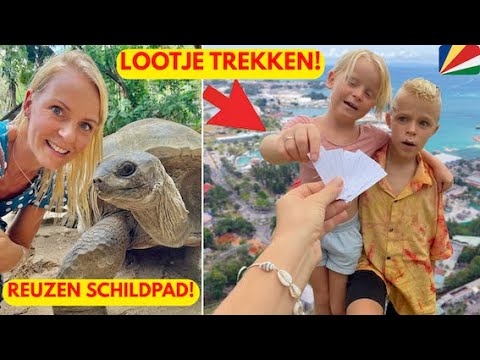 THE SMALLEST CAPITAL OF AFRICA! 😱 + GIANT TORTOISES 🐢 (Victoria) | Bellinga Vlog #3422