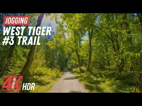 Forest Trail Jogging ASMR - Indoor Workout Video - West Tiger 3 Trail Virtual Experience 4K HDR