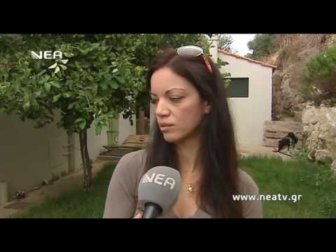 TETA  BINTEO ανάπηρα σκυλιά