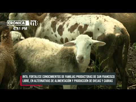 Inta, fortalece conocimiento de familias productoras de San Francisco Libre