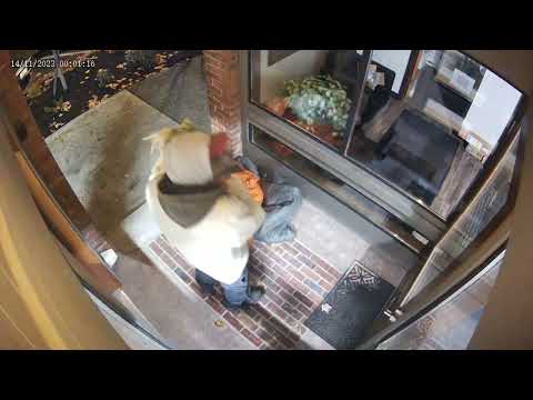 Freedom Systems Inc. video.