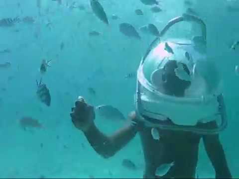 Aquacity Co. Ltd Belle Mare Watersports