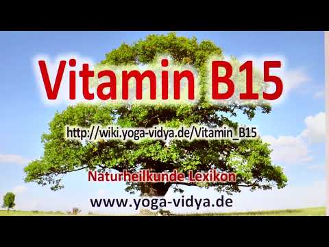 Vitamin B15