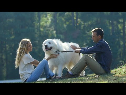 Witness21  2020 01 18