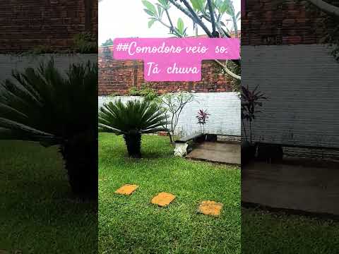 ##sítio Comodoro mato Grosso