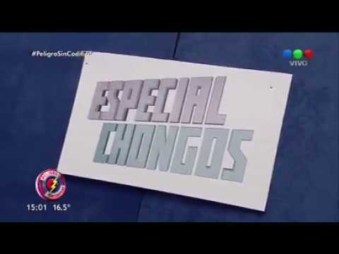 "Especial Chongos" un juego con perritos que va a dar que hablar - Peligro Sin Codificar 2017