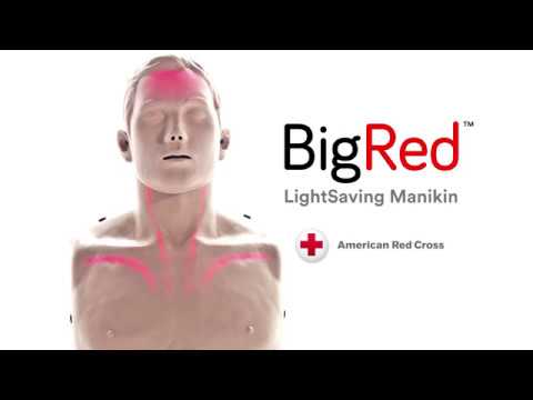 The BigRed CPR Manikins for Instructors
