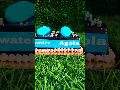 bottle cake #youtubeshorts #trending #cake #like #viralvideo #cakedecorating #likeforlikes