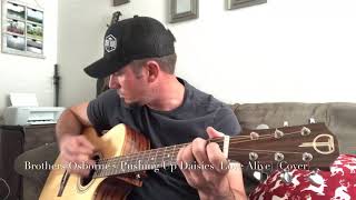Brothers Osborne - Pushing Up Daisies (Love Alive) (Link to my original music in description)