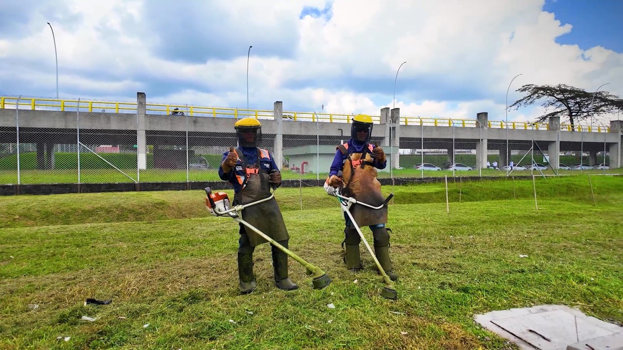 Thumbnail for Auxiliar de Rocería (Guadañador) - Corozal