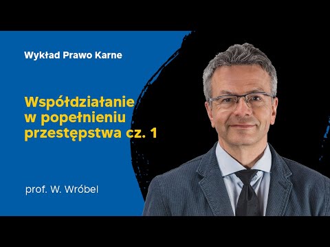 Lecture 12 on Substantive Criminal Law - January 3, 2022 - Prof. Dr. Hab. Włodzimierz Wróbel