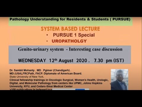 Pursue 1F (Uploaded): Genito-Urinary System: Interesting Case Discussion