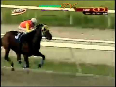 LA RINCONAD 9 CARRERA, DOMINGO 28 DE SEPTIEMBRE DL 2014