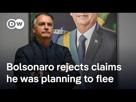 Brazil's Bolsonaro banned from using social media, ordered to wear monitoring device | DW News