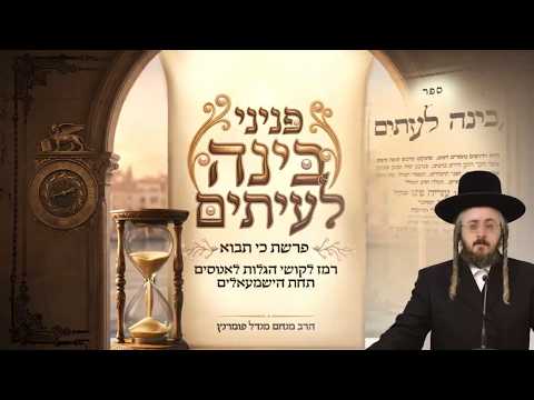 פניני בינה לעיתים - פרשת כי תבוא