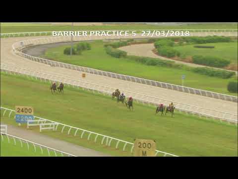 27 March 2018 Practice 5