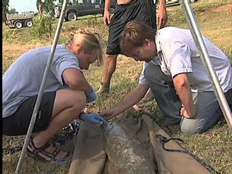 Renewable Natural Resources