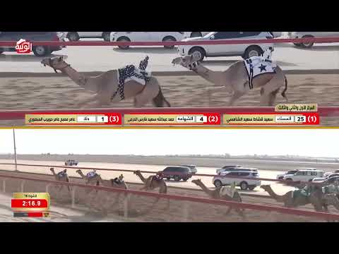  ش 16 (الشهامه) لـ حمد عبدالله بن فارس الدرعي 4:27:46  ، شارة الديوان 2026/10/04 حقايق الوثبة