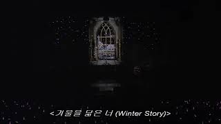 Taeyeon &amp; Seohyun - 겨울을 닮은 너 (Winter Story) Live @ 2017 The Magic of Christmas Time Concert