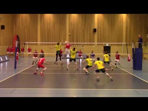 Edvin Svard Libero #6