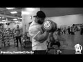 The Animal Underground: Frank McGrath & Dorian Hamilton, Arms