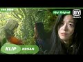 Yi Gang akhirnya bertemu Hyun Jo lagi [INDO SUB] | Jirisan Ep.14 | iQiyi Original