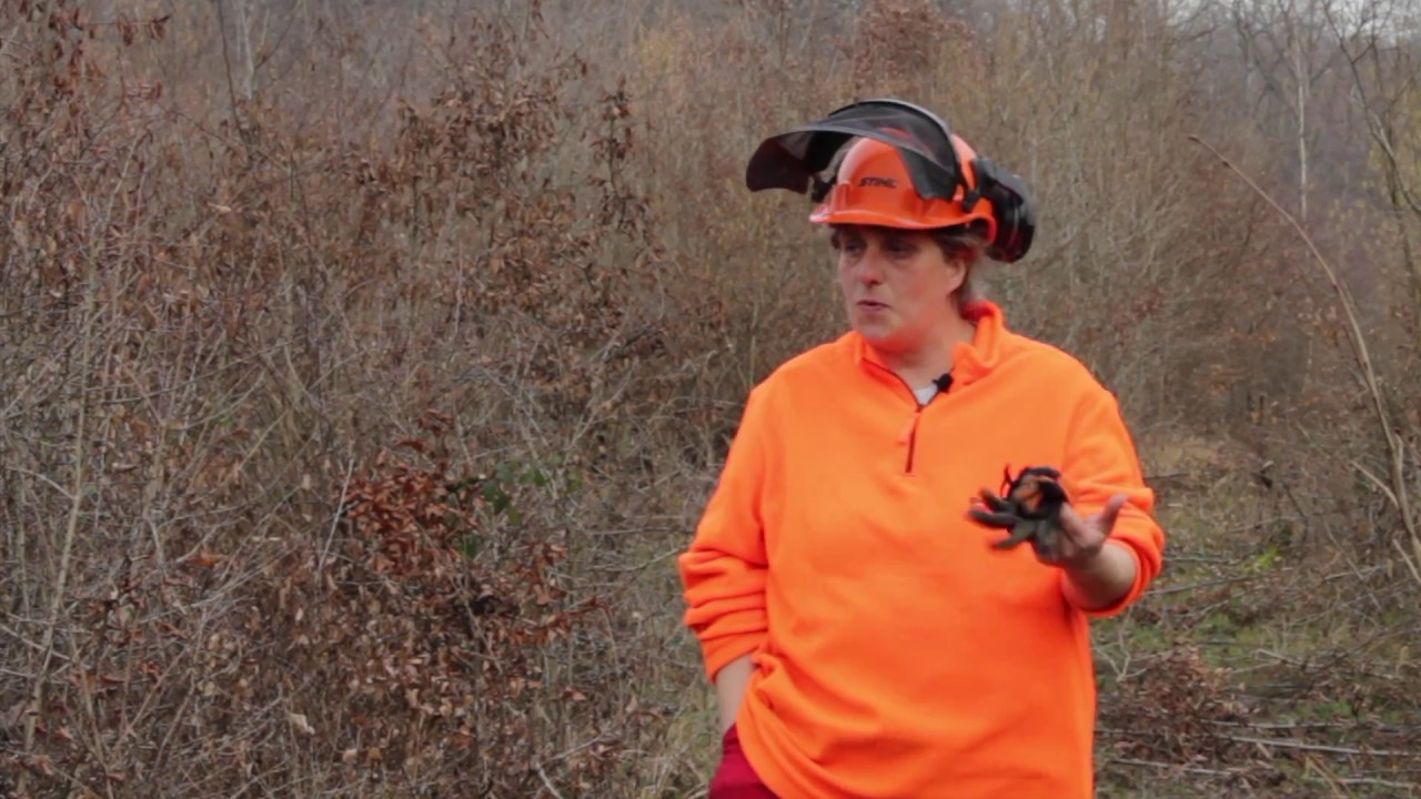 Rencontrez une sylvicultrice en herbe !