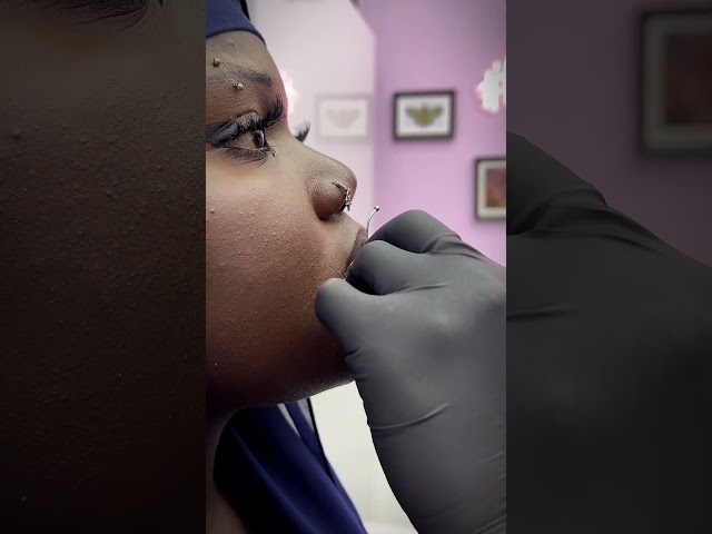 Vídeo relacionado con limerencia 18G Tragus Piercing Titanio, 2 Piezas Médico Labio Piercing Labret Enchufe Hipoalergénico Hélice Perforación Del Oído para El Ombligo Lengua Ceja Labio Tabique Nariz Perforación Del Oído.