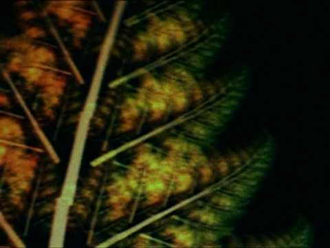 D.J.Generous - Higher and Higher (Original Edit)