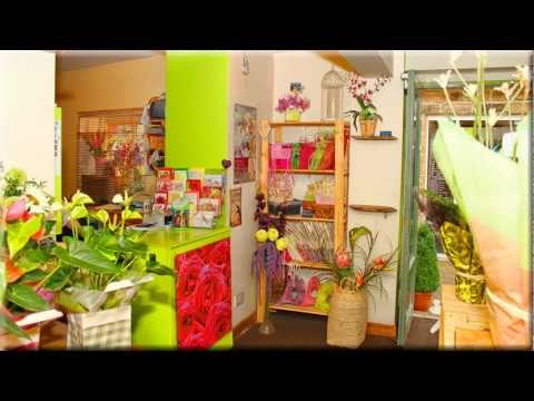 download lagu mp3 mp4 Florist Bakewell, download lagu Florist Bakewell gratis, unduh video klip Florist Bakewell