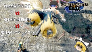 【モンハンライズ】現時点のラスボスVS慣れない撮影環境VS壊れかけのジョイコン(ゆっくり実況)