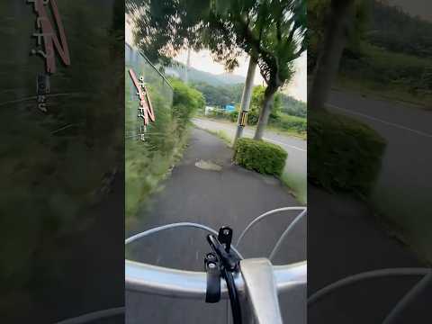 내리막길에서 자전거 끌고가야하는 이유