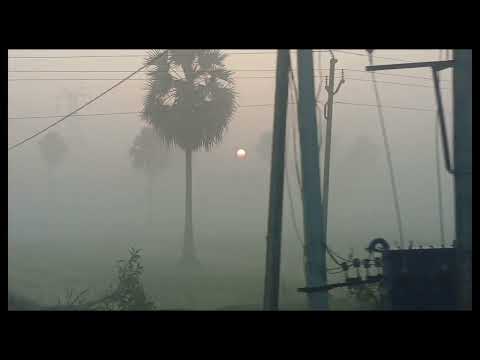 @maa Nature🌴#🤷మా ఊరి అందాలు //