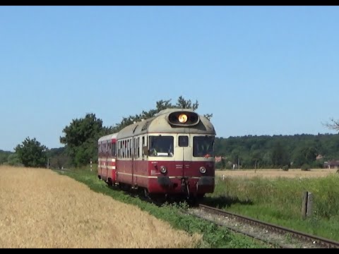 Prechod Túlavej 850 018 medzi zastávkami Jablonica obec a Osuské dňa 10.7 2021