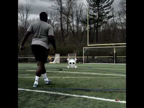 Best shor ever in football😌😌😌 #football #shots #fyp