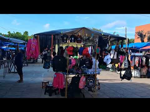 Nossa lojinha na feira de carnaubal ceara, hoje 20/02/26